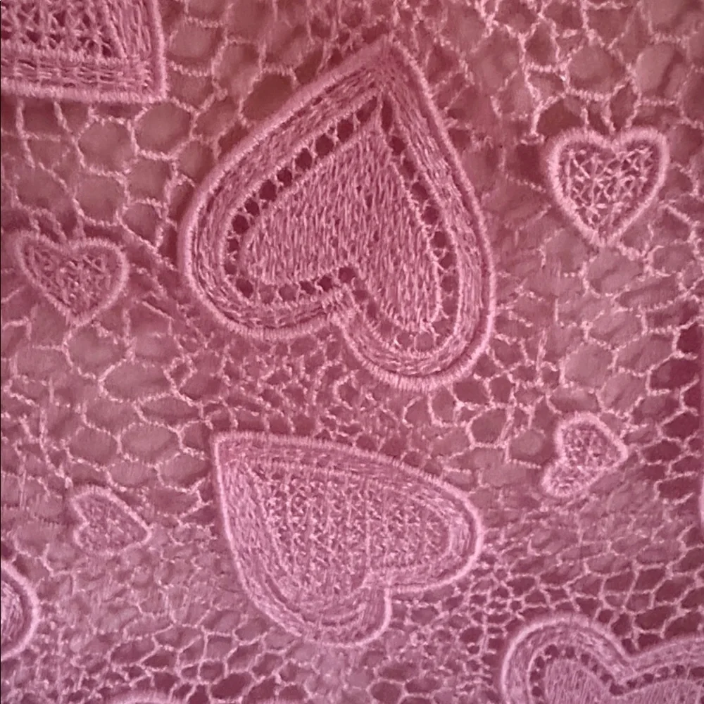Miu Miu Pink Heart Lace Mini Skirt Made in Italy Size XS Rare Coquette Archive - Picture 2 of 4